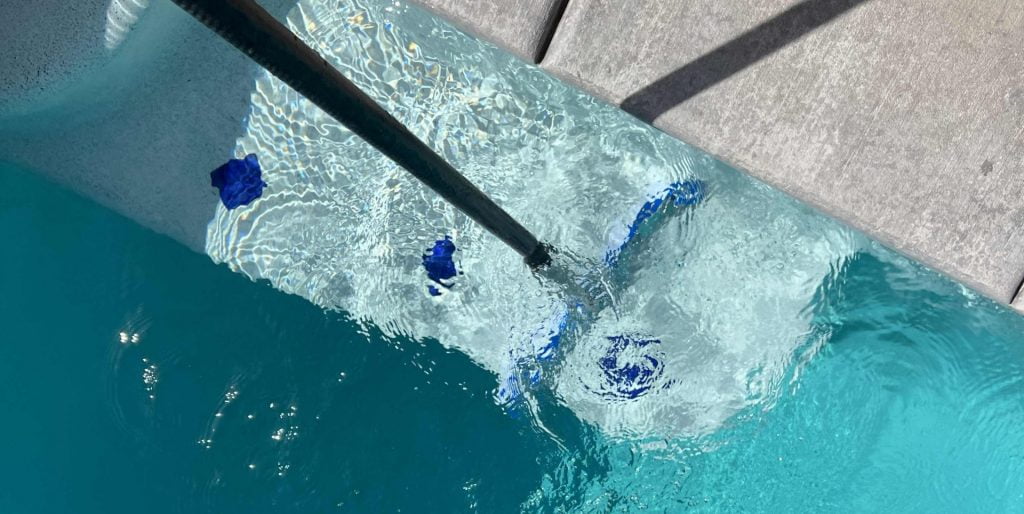 Skim surface debris with leaf net during pool service in St george ut